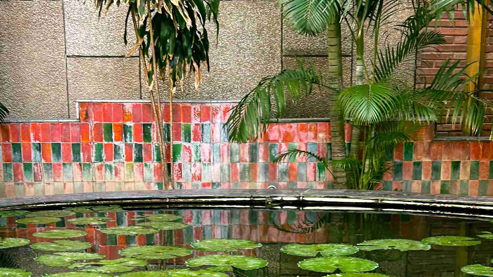 The Mighty Mini: A Compact Solution for Rice Milling Needs 3 Key Features to Look for in a Compact Rice Milling Solution