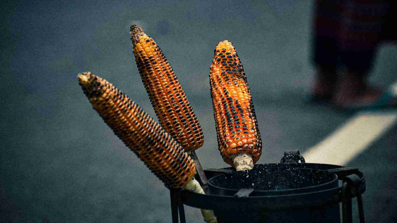 The Art of Corn Processing: From Kernel to Table 2 Unveiling the Intricate Process of Corn Milling: From Kernel Separation to Grinding