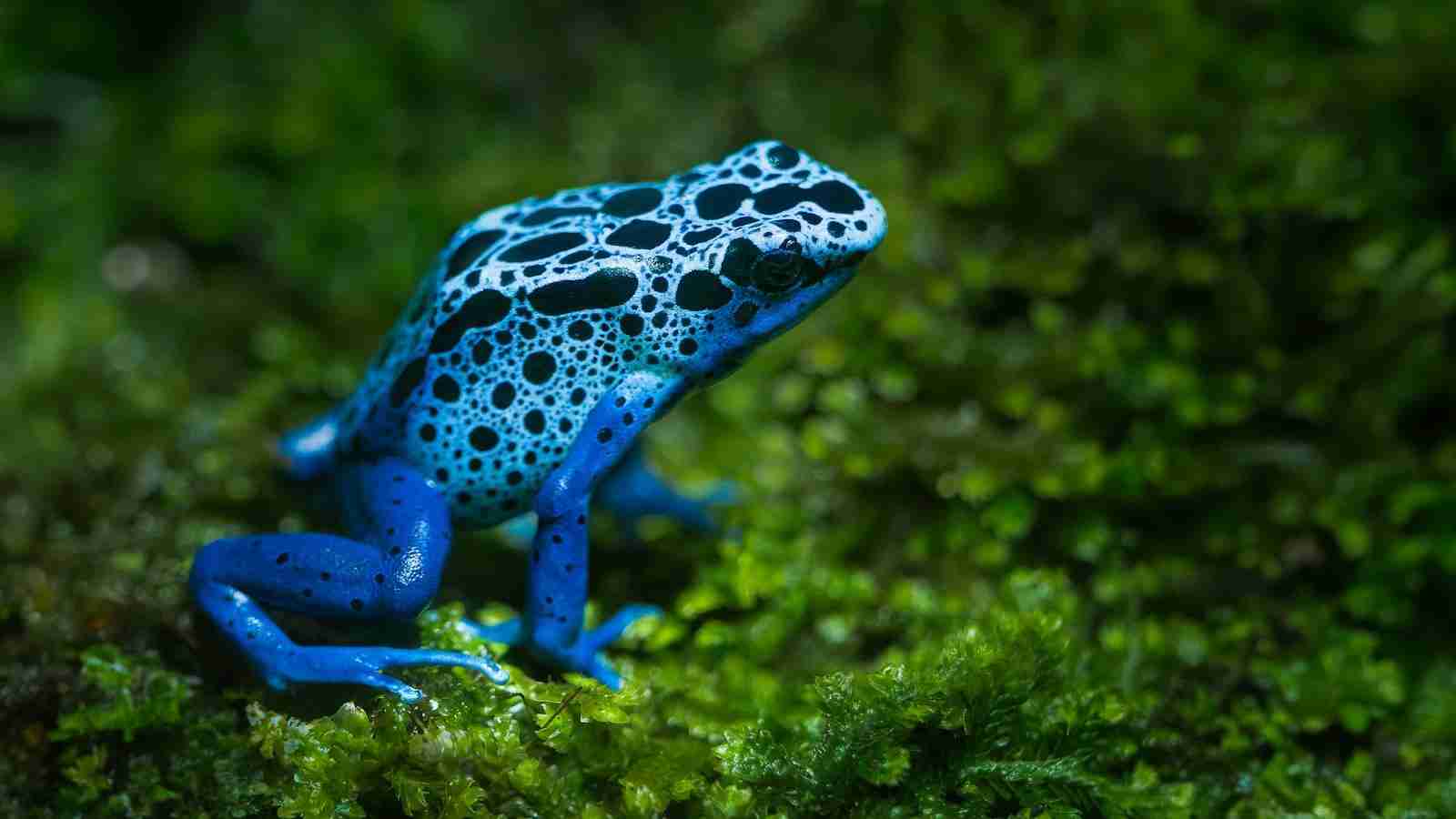 The Effortless Efficiency of an Automated Rice Mill 2 Increased Production Capacity and Consistent Quality