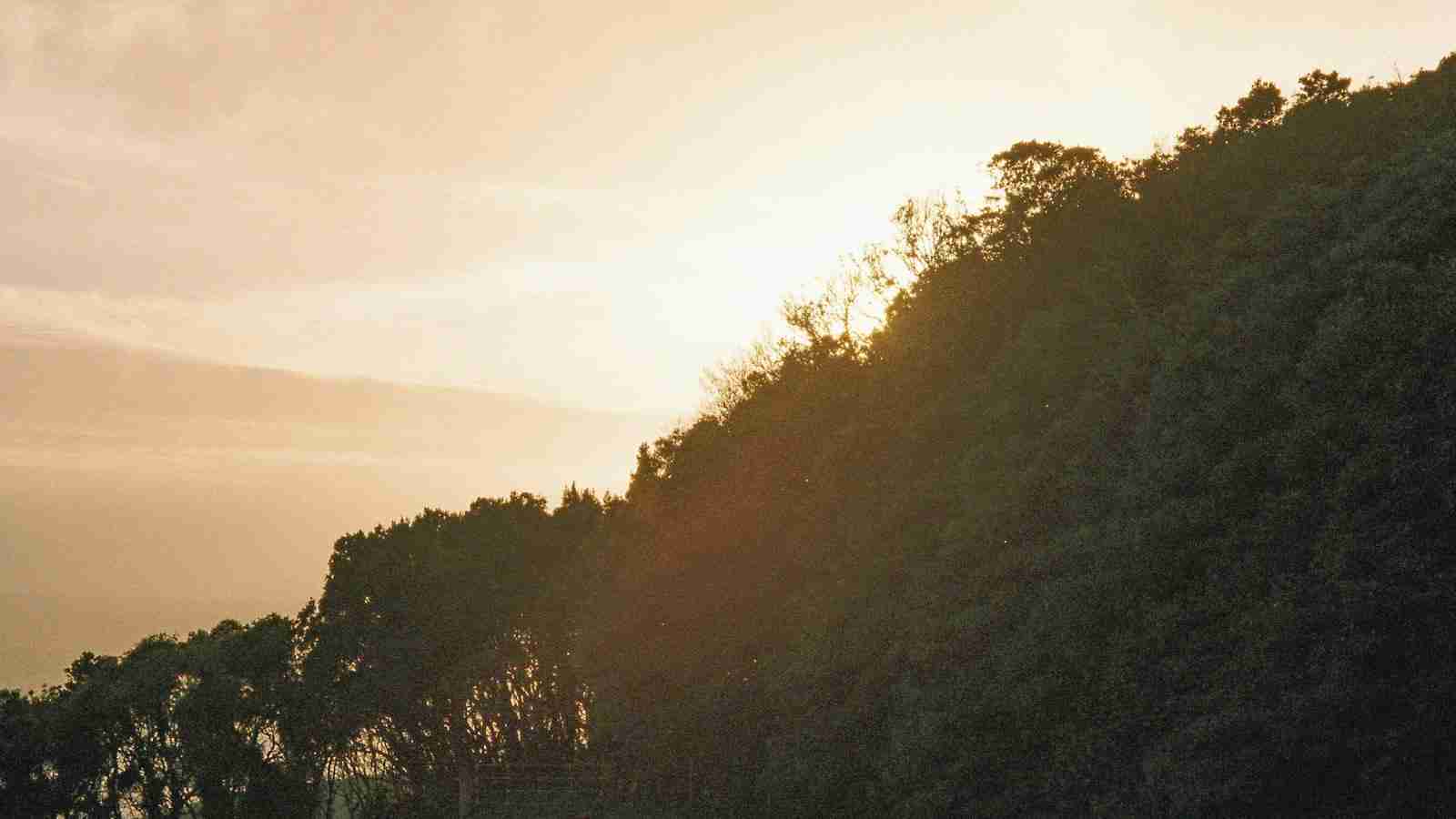 From Farm to Bowl: The Fascinating World of Cereal Processing 3 Understanding the Importance of Temperatures in Cereal Drying