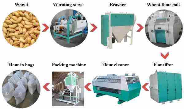 The Art of Cereal Milling: From Grains to Flour 1 The Role of Cereal Milling in Food Production