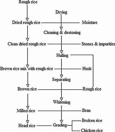 The Art of Rice Milling: A Detailed Guide 2 Key Techniques for Successful Rice Milling
