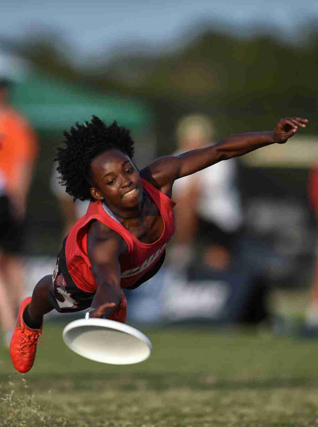 The Ultimate Efficiency: Revolutionizing Rice Milling with Commercial Machinery