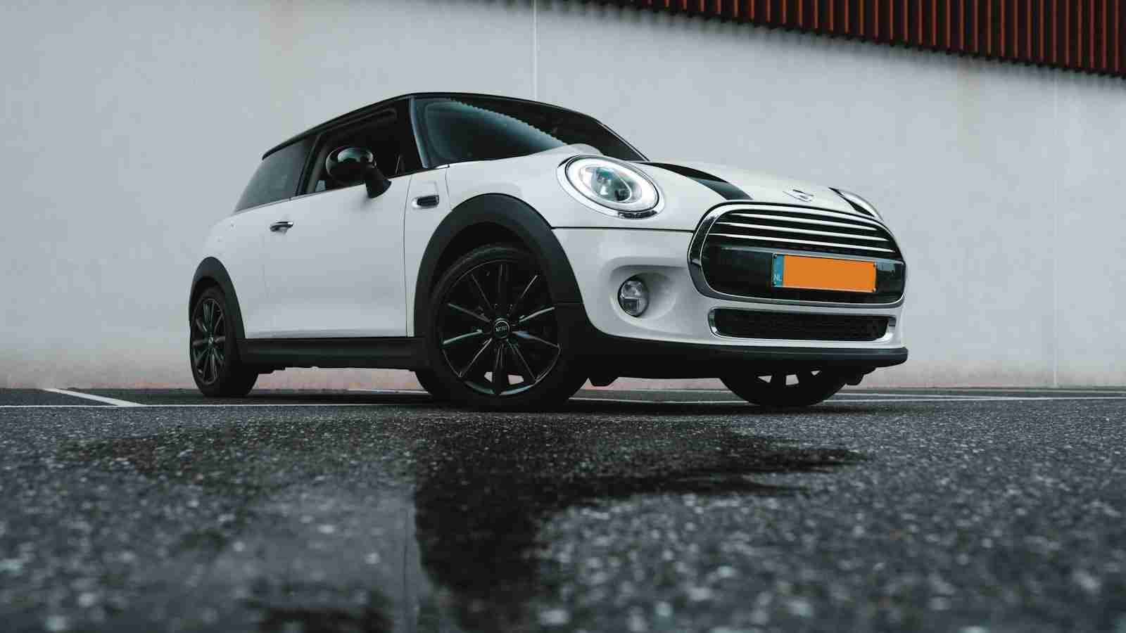 Tiny Tech: The Mini Rice Polisher Advancing Agriculture