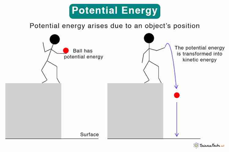 Unlocking the Potential: The Paddy Processing Revolution