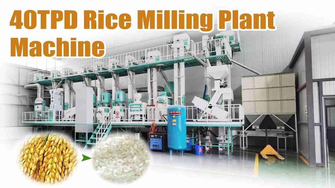 The Mighty 5-Ton Rice Mill: Revolutionizing Agriculture