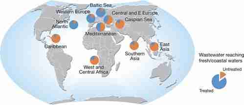 The Art of Rice Processing 2 Optimizing Water Ratio for Perfectly Cooked Rice