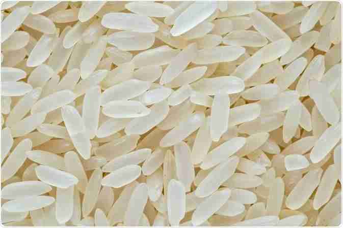 The Art of Rice Polishing: Enhancing the Quality of Grains