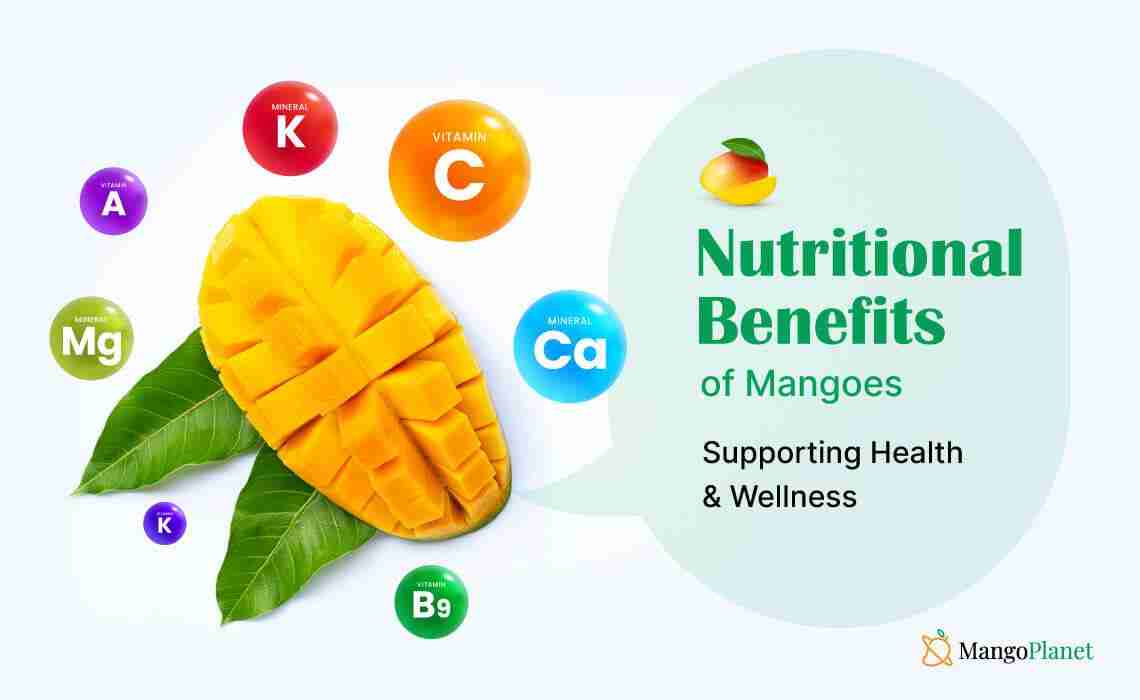 Unraveling the Art of Cereal Processing 2 Unlocking the Nutritional Benefits of Different Processing Techniques