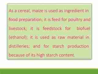 The Art of Corn Transformation 3 Secrets to Mastering the Art of Corn Processing