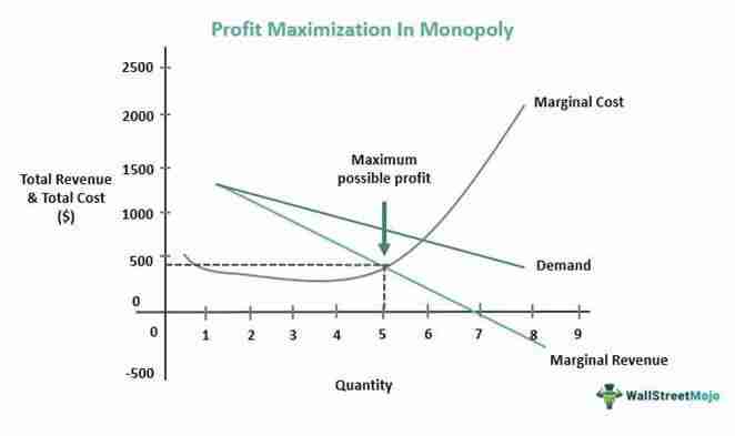 Mastering the Art of Paddy Processing: A Close Look at a Modern Unit 2 Maximizing Efficiency through Advanced Milling Technology
