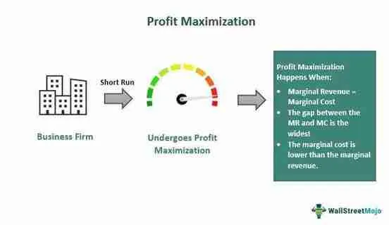 Maximizing Profitability and Sustainability