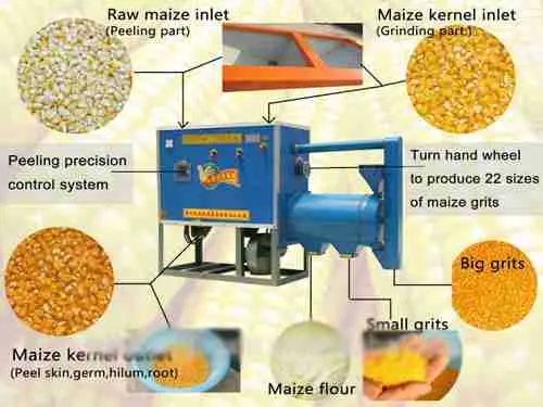 Revealing the ​Health Benefits of Proper Corn Processing
