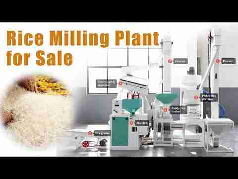 Rice Revolution: Unveiling the Efficiency of Mini Rice Mills 1 Exploring the Benefits of Mini Rice Mills