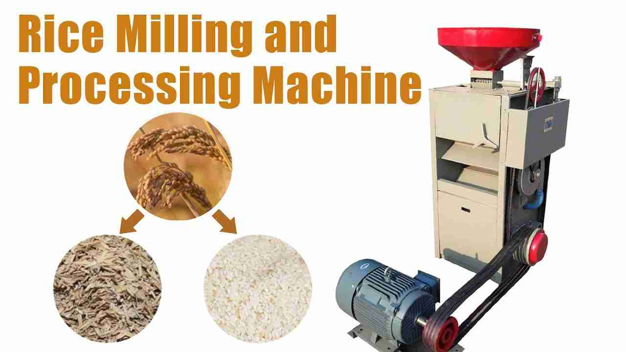 Compact Innovation: The Mini Rice Mill Revolution 1 Heading 1: The Evolution of Mini Rice Mills