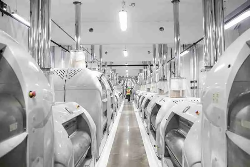 Grain to Grind: Exploring the Art of Cereal Milling 4 Tips and Tricks for Optimal Cereal Milling Results