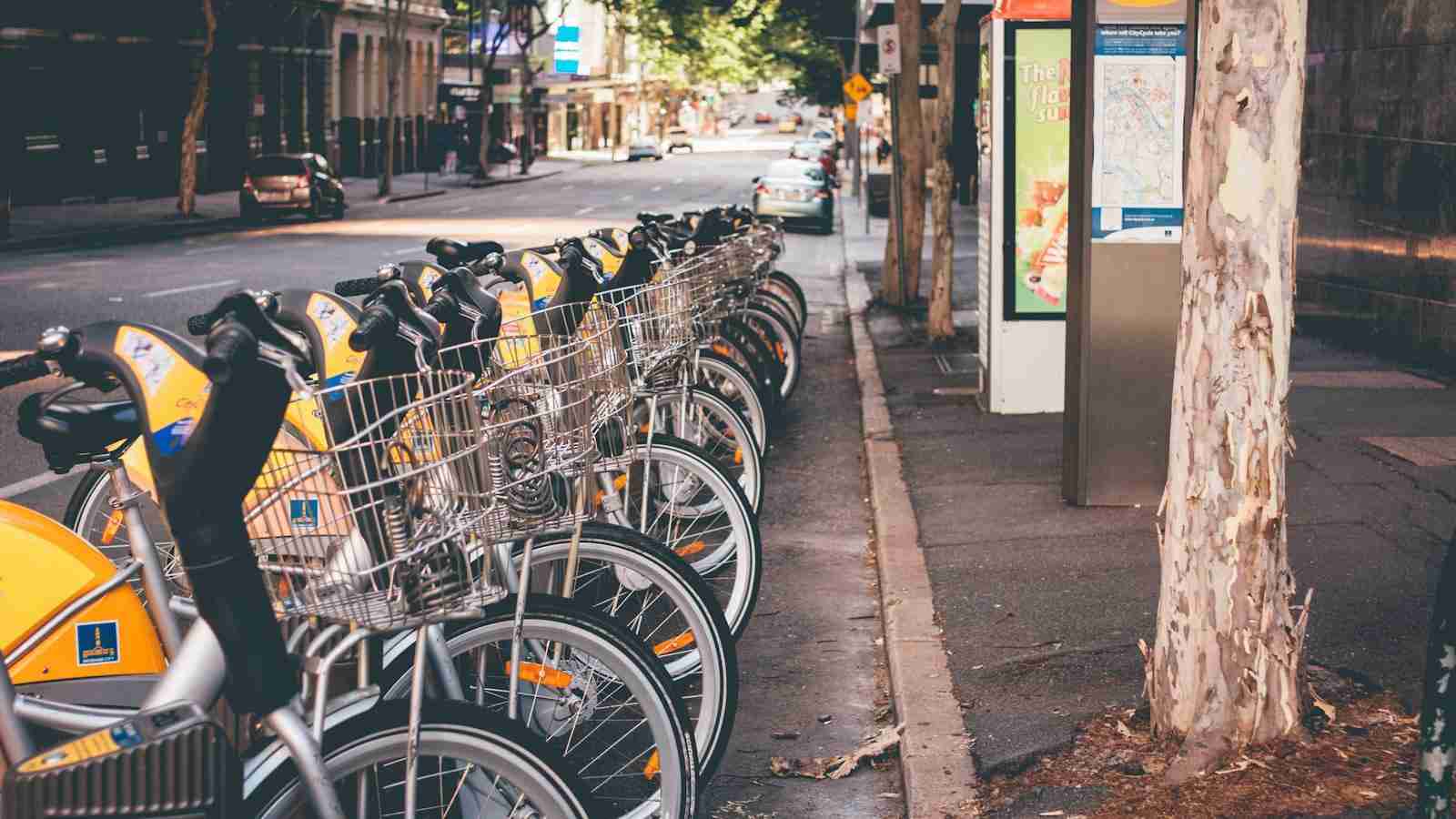 Unlocking the Potential: The Paddy Processing Revolution 2 Sustainability in Paddy Processing: Best Practices and Innovations