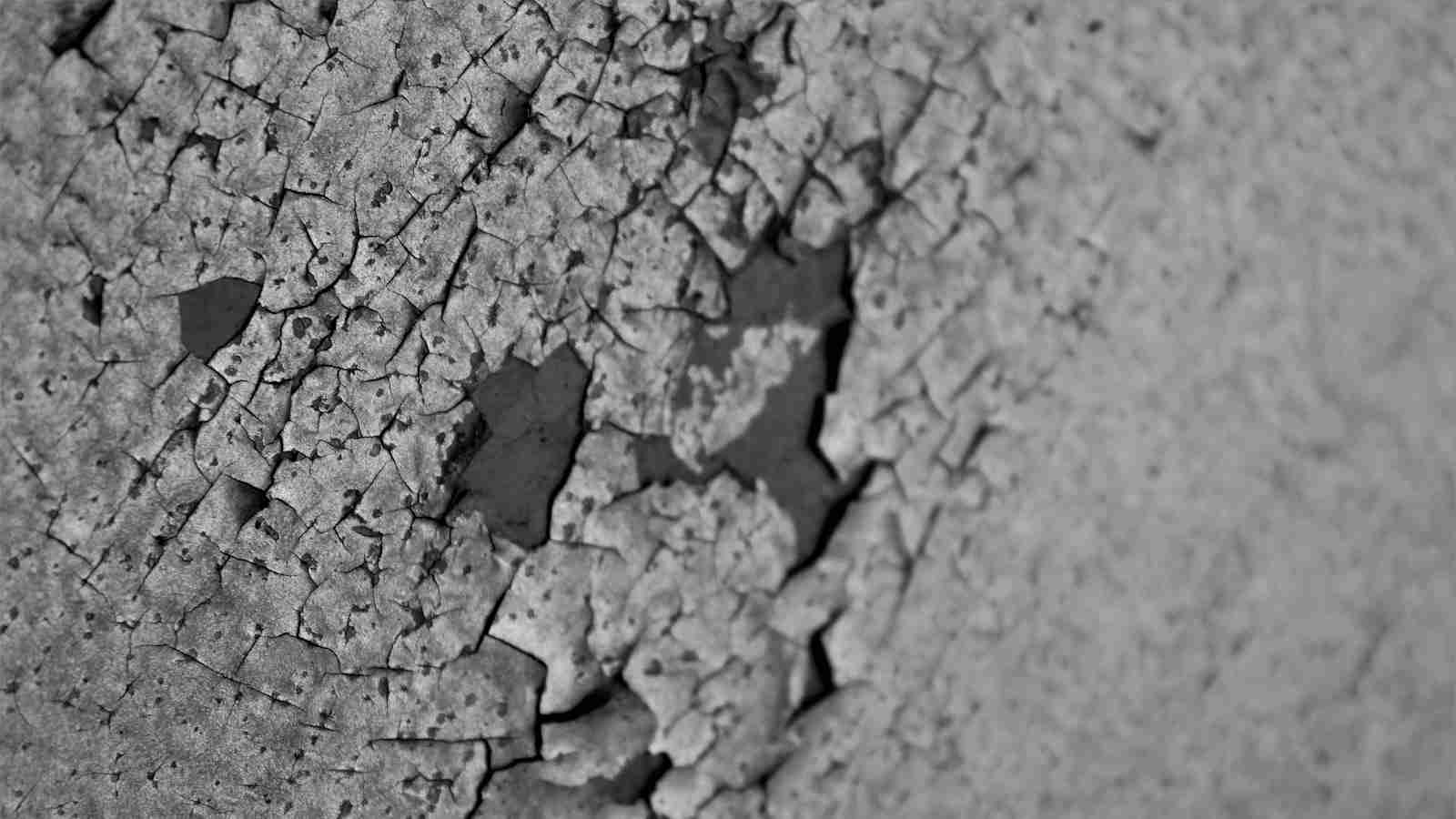 Unlocking the Potential: The Paddy Processing Revolution 1 The Economic Impact of Modern Paddy Processing Techniques