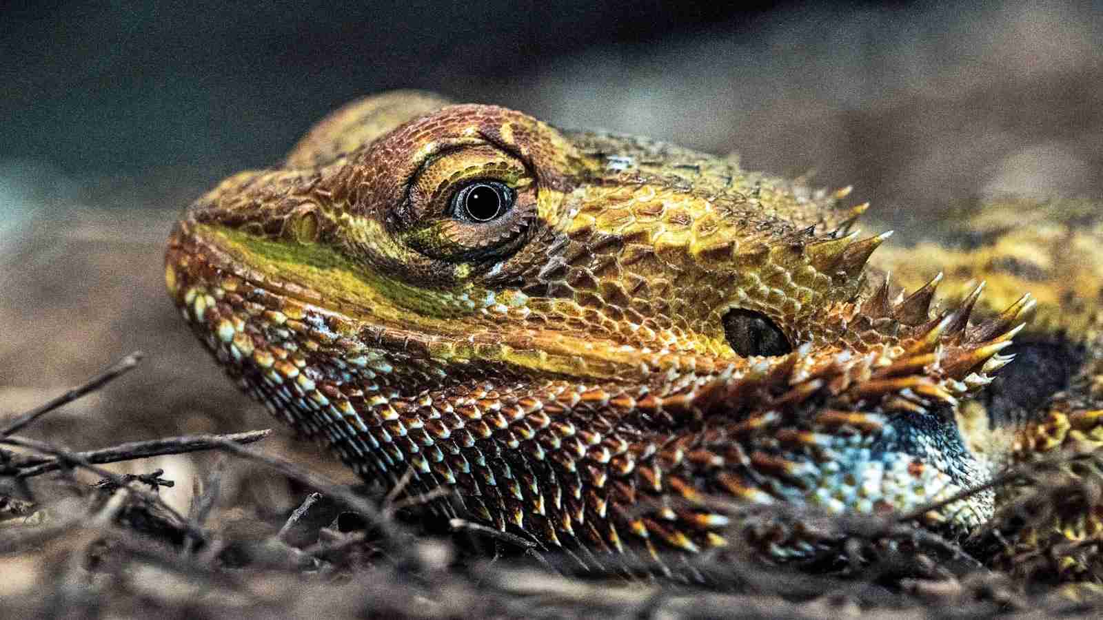 Small Scale Success: Mini Rice Mill Plant Delivers Big Results 2 Benefits of Small-Scale Rice Milling Operations