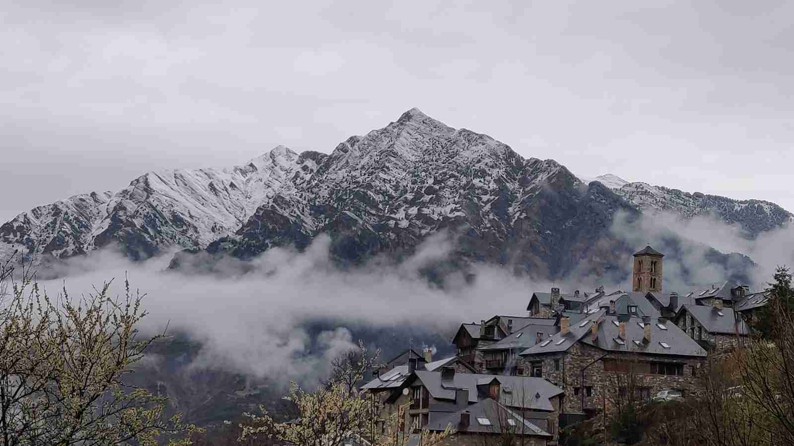 Shrinking the Grain: The Mini Rice Milling Machine 1 Revolutionizing Rice Milling: Introduction to Mini Rice Milling Machine