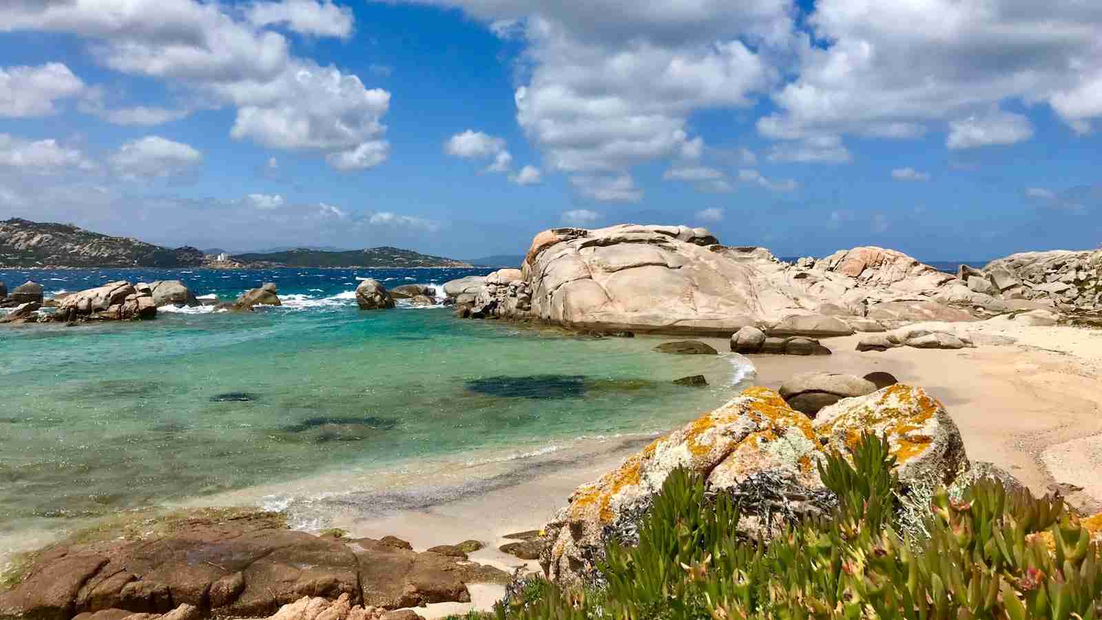 The Rice Mill Revolution: Unveiling the Best in the Business 1 Introducing the Rice Mill Revolution