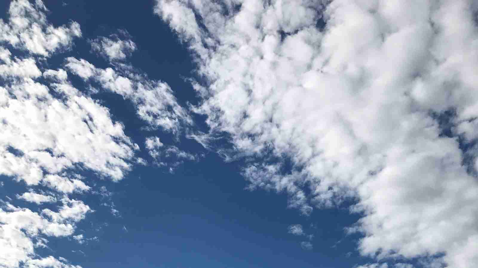 Grain to Gain: Inside the World of a Rice Mill 2 Maximizing Efficiency and Quality Control in Rice Production