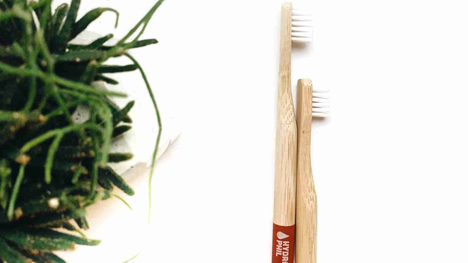 Small Scale Success: Mini Rice Mill Plant Delivers Big Results 3 Tips for Success in Running a Mini Rice Mill Plant