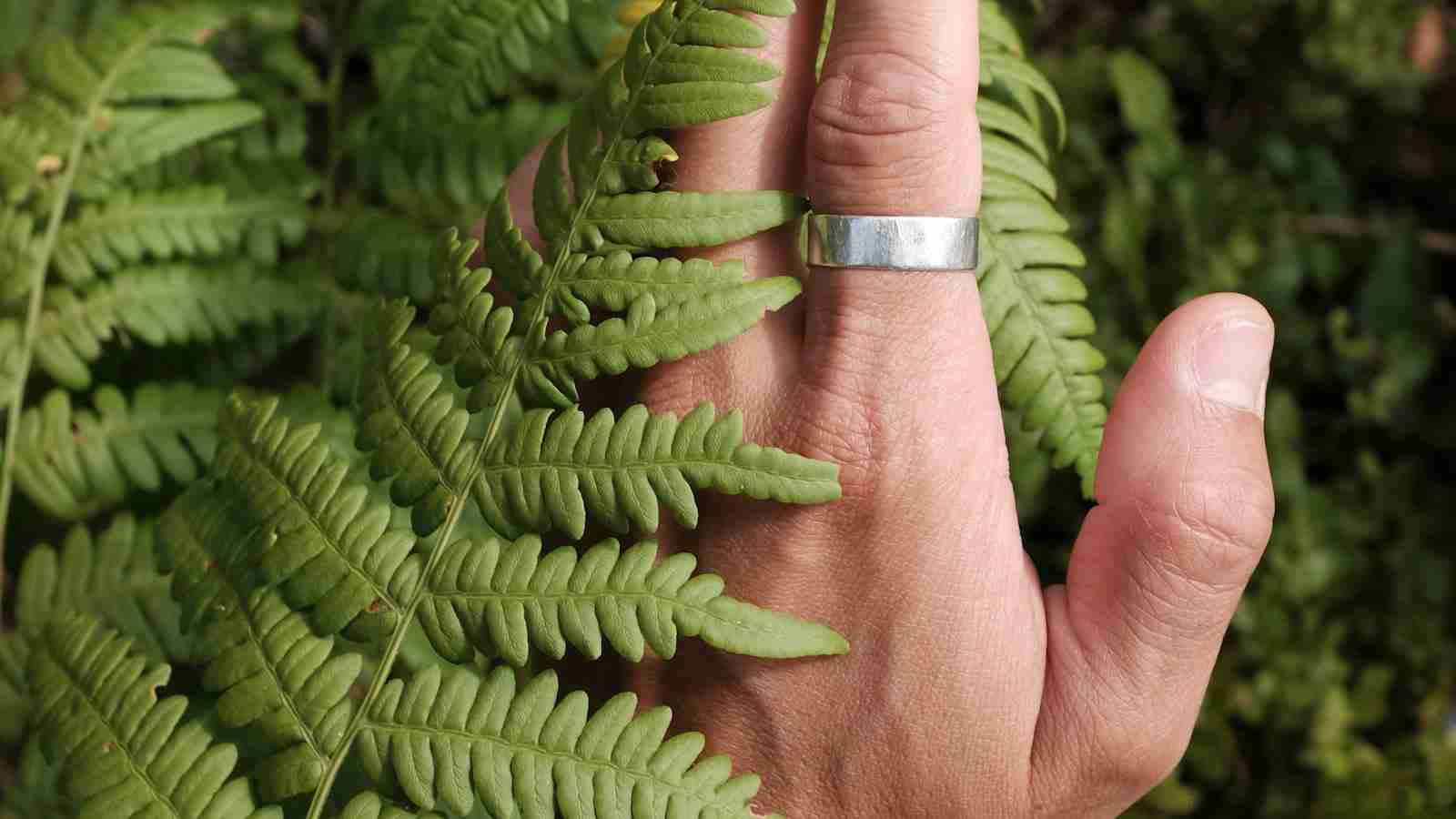 The Mighty Mini Rice Mill: Compact Innovation for Efficient Farming 1 The Evolution of Mini Rice Mills: A Game-Changer in Agricultural Efficiency