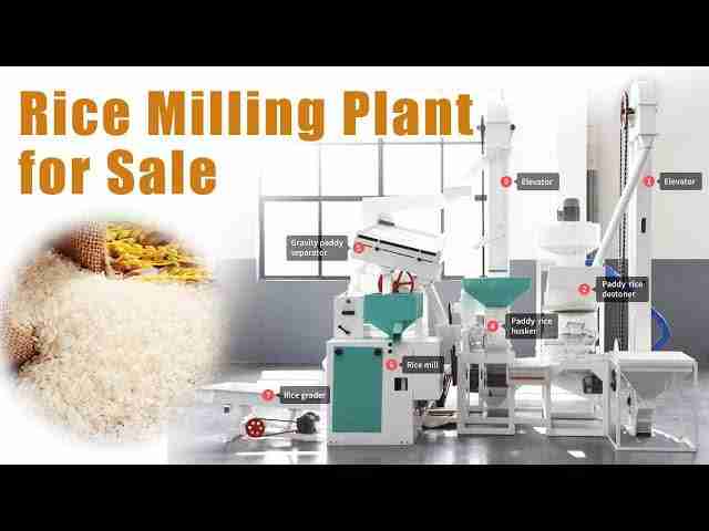 Rice Revolution: Exploring the Potential of Mini Rice Mill Plants 1 Challenges and Opportunities in Mini Rice Mill Plants
