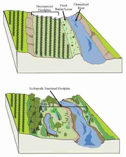 Breaking Down the Science of Cereal Processing 2 Maximizing Nutrient Retention in Cereal Products