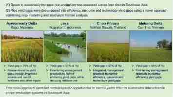 The Rice Revolution: Building a 2-Ton Mill Plant Project 1 Heading 1: Boosting Rice Production Efficiency Through Modern Mill Plant Technology