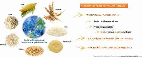 Enhancing Flavor and Nutrition: Techniques for Optimal Grain Treatment
