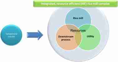 The Compact Solution: Revolutionizing Rice Processing with Combined Mini Rice Mills 3 Cost-Effective and Sustainable Solutions for Rice Milling Industry