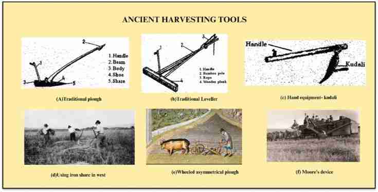 The Innovative World of Rice Machinery 1 Revolutionizing Rice Processing Technology
