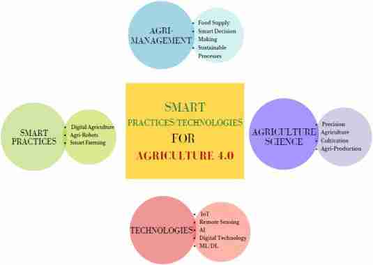 Transform Your Harvest with the Compact Mini Rice Milling Machine 2 Revolutionize Your Farming Operations