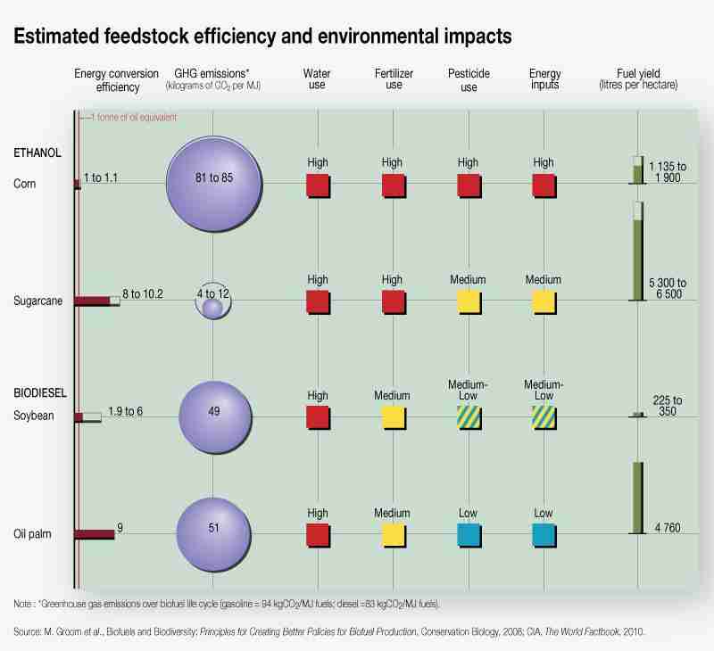 Revolutionizing Rice Processing: The 4 Ton Rice Mill Plant 2 Maximizing Output with Cutting-Edge Machinery