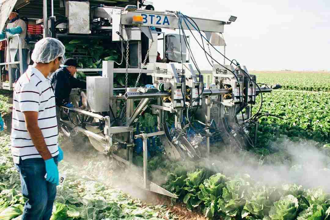 Innovative Harvesting: The Evolution of Combined Rice Mill Machines