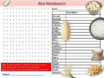 The Rice Revolution: Unleashing the Potential of Portable Milling Machines