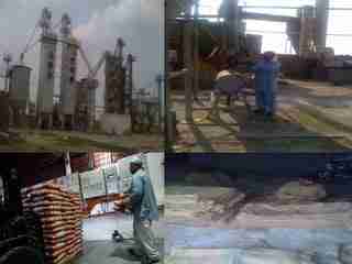 Milling the Savory Secrets of Paddy Processing