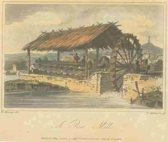 The Hidden Wonders of Chinese Rice Mills