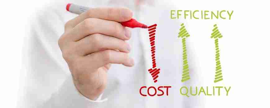 The Rice Revolution: Unleashing the Power of Mini Rice Mill Plants 3 Cost-Effective Solutions for Small-Scale Farmers