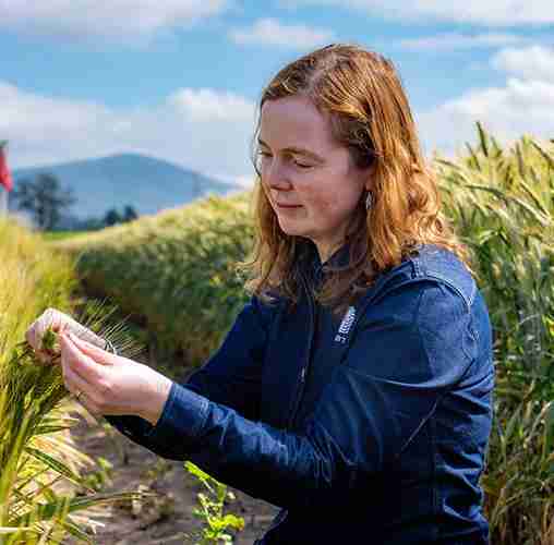 Harvesting Efficiency: Exploring the Mini Rice Mill Plant 1 Exploring the Benefits of Utilizing a Mini Rice Mill Plant