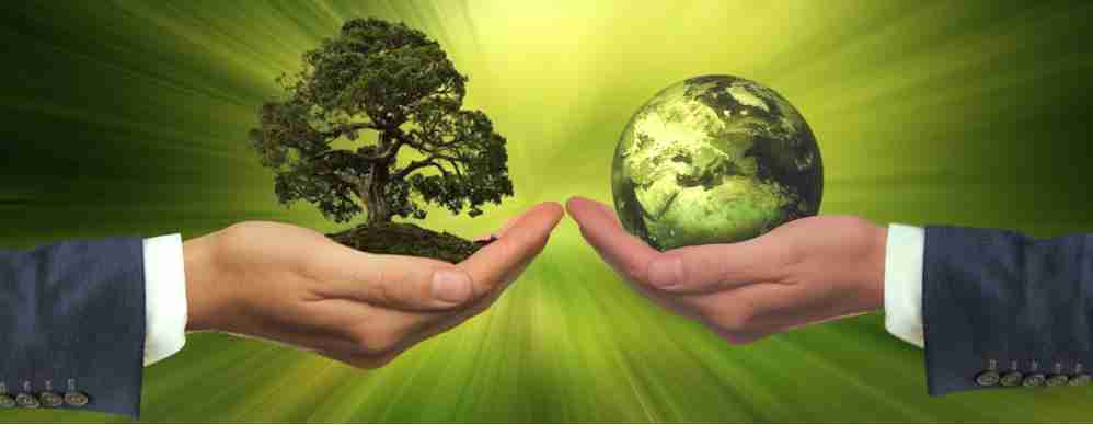 The Future of Rice Processing: Innovative Automatic Milling Plants 3 Heading 3: Embracing Sustainability in Rice Processing: Benefits of Automated Systems