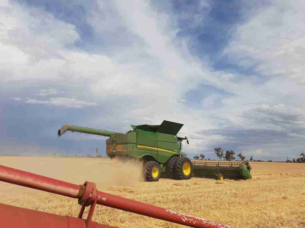 Revolutionizing Rice Production: The Mini Rice Mill Plant 2 Cutting Costs with Modern Technology: The Benefits of Mini Rice Mills