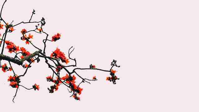 The Art of Rice Milling: From Paddy to Perfect Grain 3 Mastering the Milling Process for Optimal Rice Quality