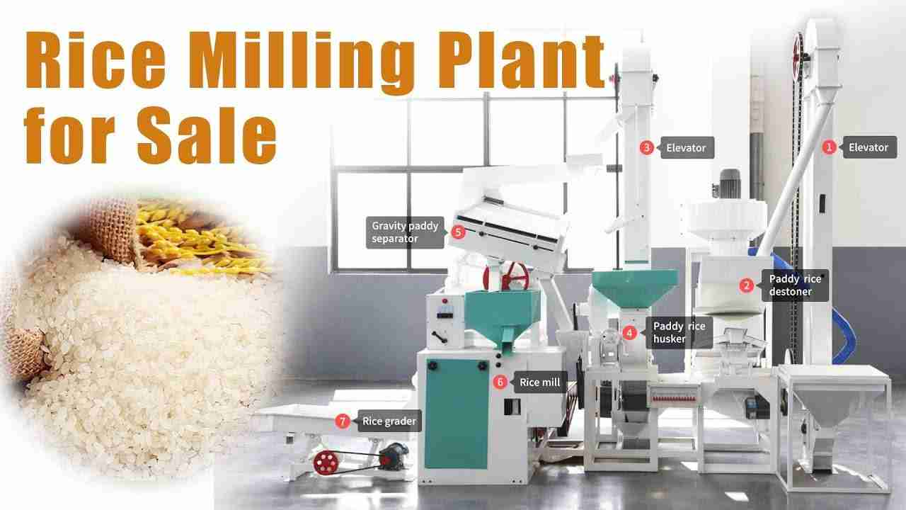 Revolutionizing Rice Processing: The Mini Rice Mill 2 Increasing Efficiency: Streamlining Rice Processing with Mini Rice Mills