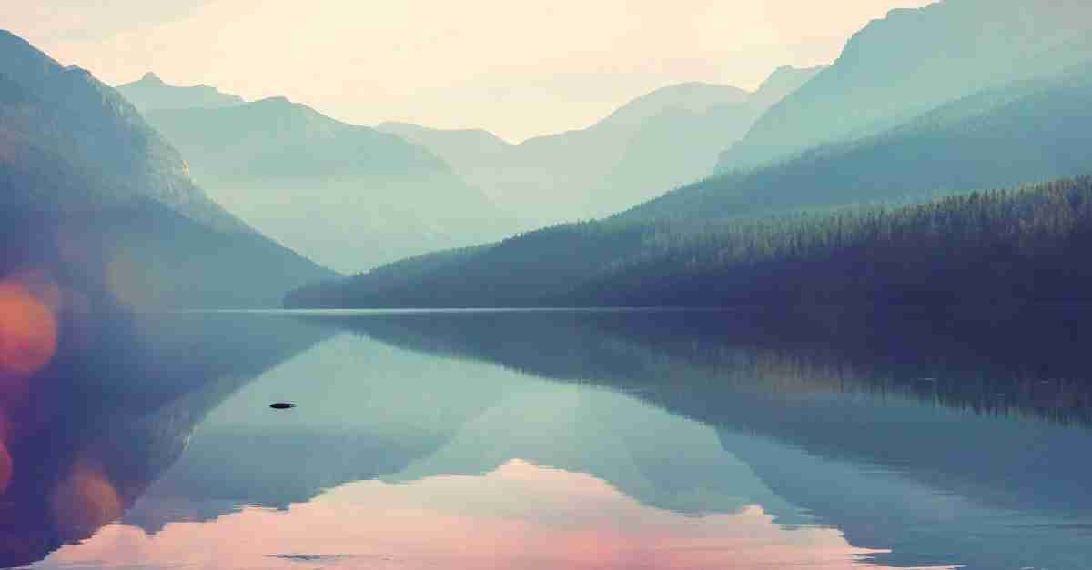 The Magic of Rice Processing Machines: From Paddy to Perfect Grains 1 Heading: