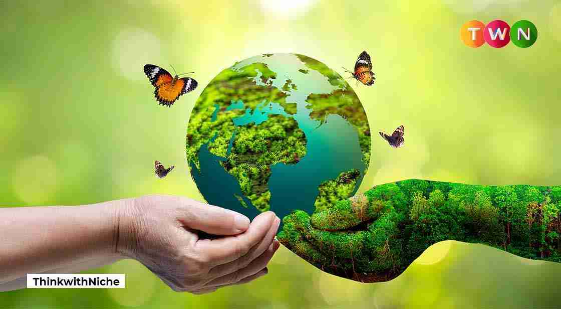 Sustainable Practices for Environmental Impact