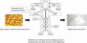 Unveiling the Art of Corn Processing 2 Exploring Different Techniques for Corn Wet Milling