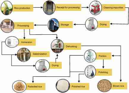 Shining Bright: The Role of the Rice Polisher 3 Heading 3: Factors to Consider When Choosing a Rice Polisher